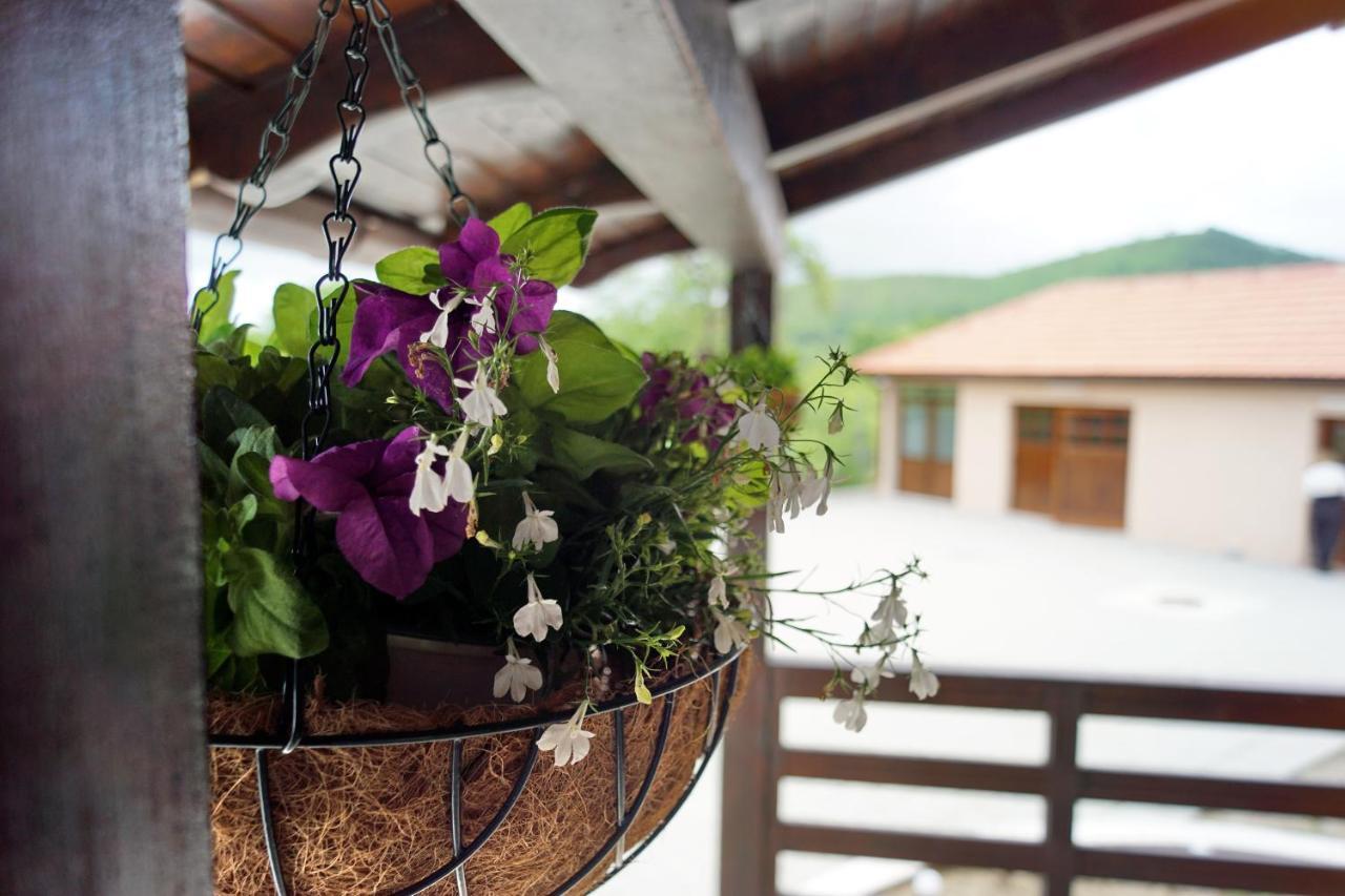 Cabana La Pestera Pestera  Екстериор снимка